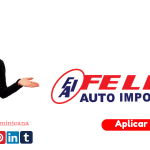 Felix Auto Import