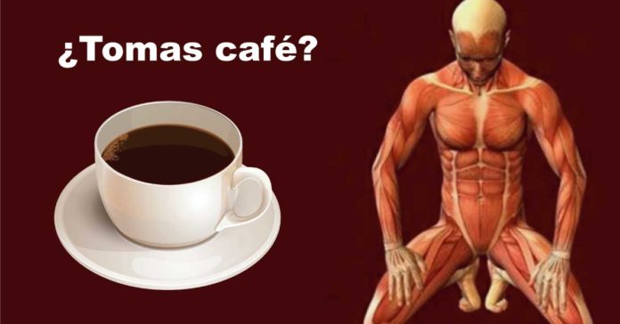 Esto es lo que pasa a tu cuerpo cuando tomas café todos los días