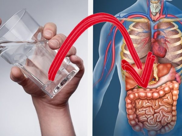 Esto es lo que pasa a tu cuerpo cuando tomas 8 vasos de agua al dia