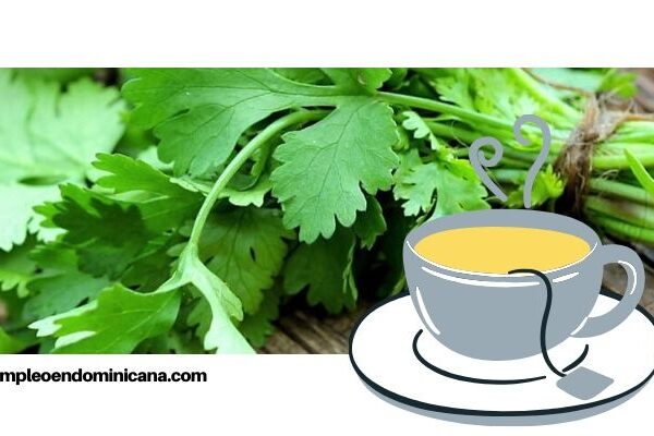 ¡Salud! Conoce las propiedades del té de cilantro