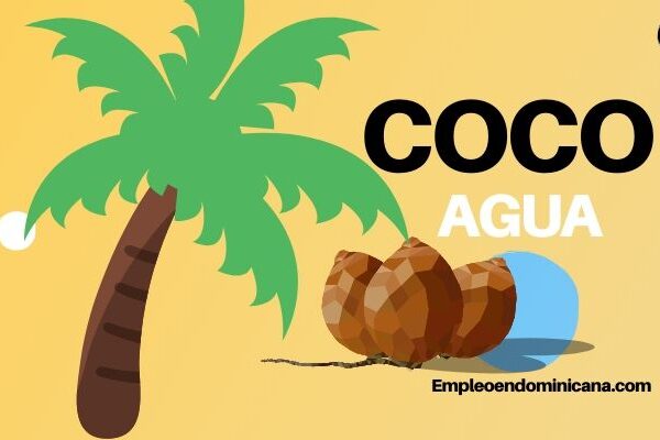 3 razones para tomar agua de coco que debes conocer